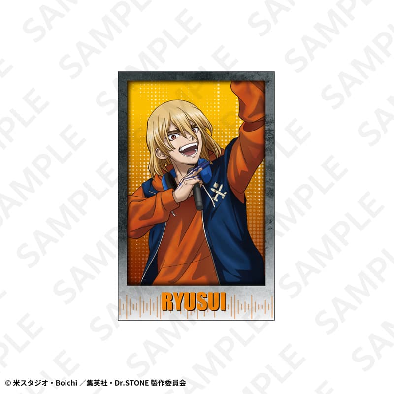 ポラショットコレクションセット　1セット/10枚入
